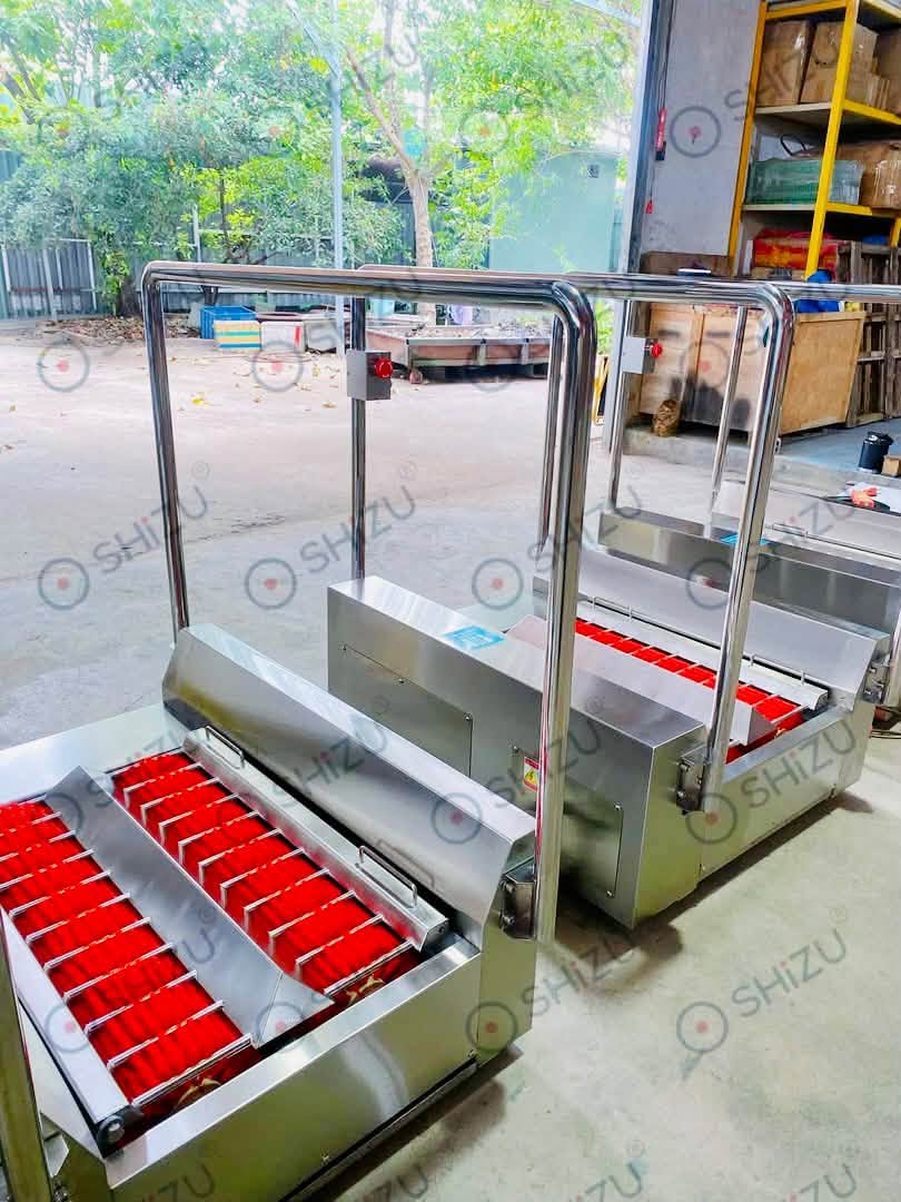 Vùng bàn chải và tay vịn của máy vệ sinh đế giày SHiZU